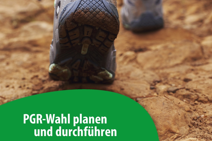 PGR-Wahl planen und durchführen