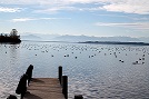 Bild Steg Enten Gebirge
