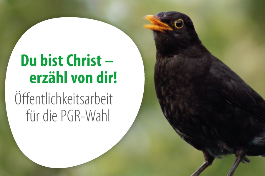 PGR-Wahl 2018
