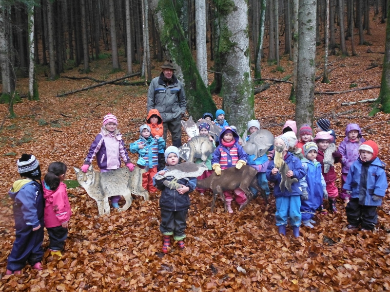 Kiga Wald 043