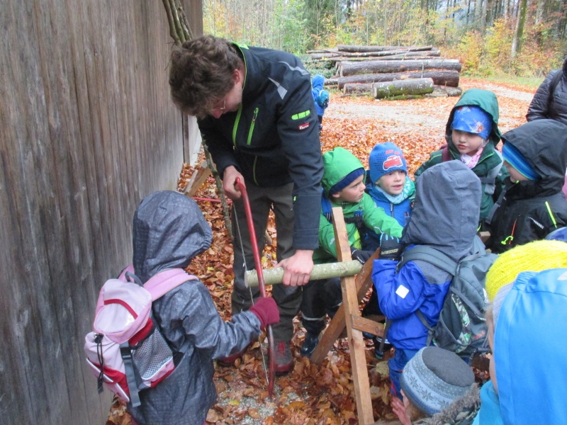 Kiga Wald b