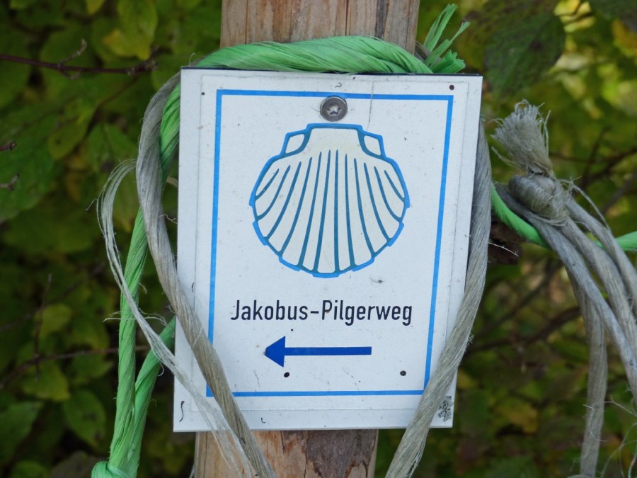 PVT_Jabobsweg_II_2017 (2)