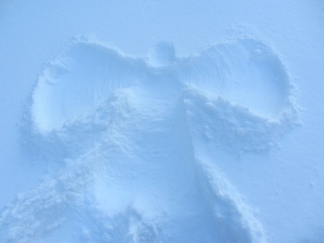 Engel