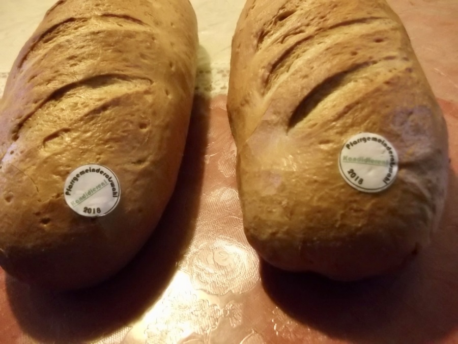 Brot PGR-Wahl 2018