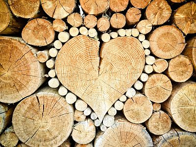Aus liegenden Holzscheiten ist ein Herz geformt