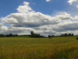 Steinerskirchen