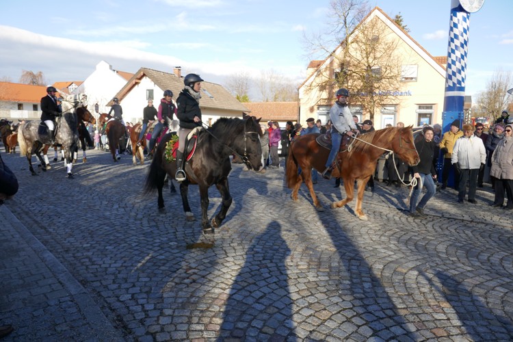 Pferdesegnung