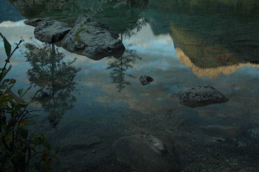 Sich im Wasser spiegelnde Bäume und Steine