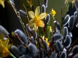 WP_20180325_17_45_46_Pro