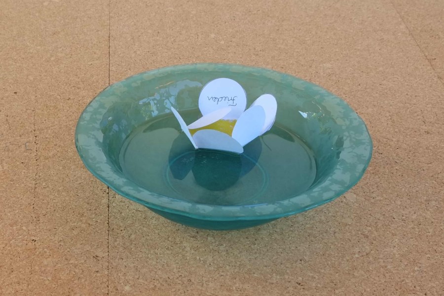papierblume blüht in schale mit wasser auf