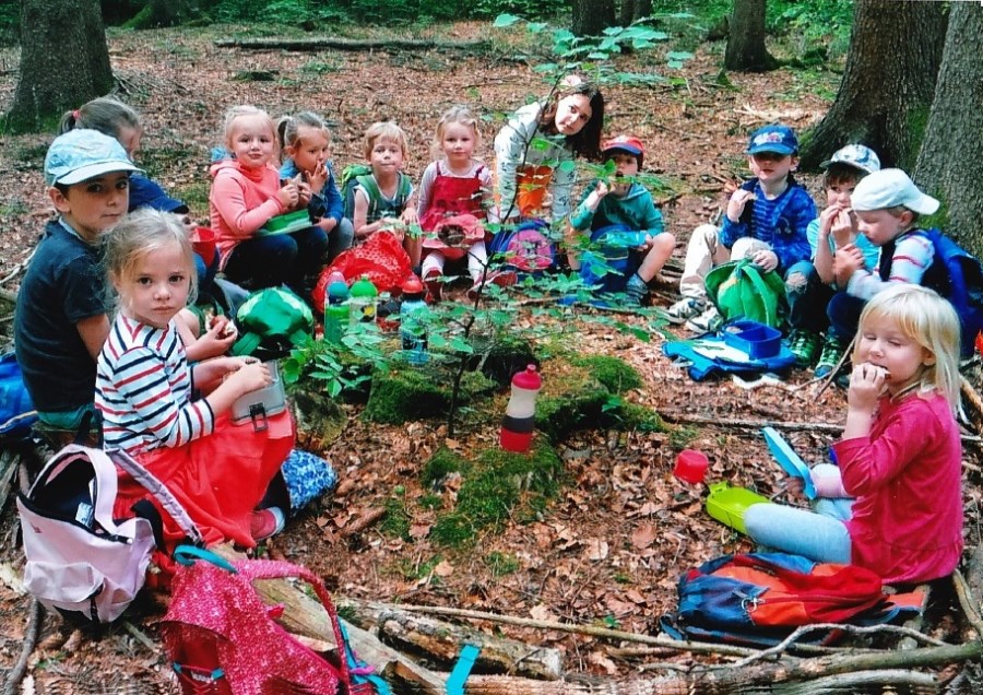 Projekte - Waldtag