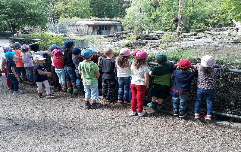 Tierpark Kinder bei Bären 2018