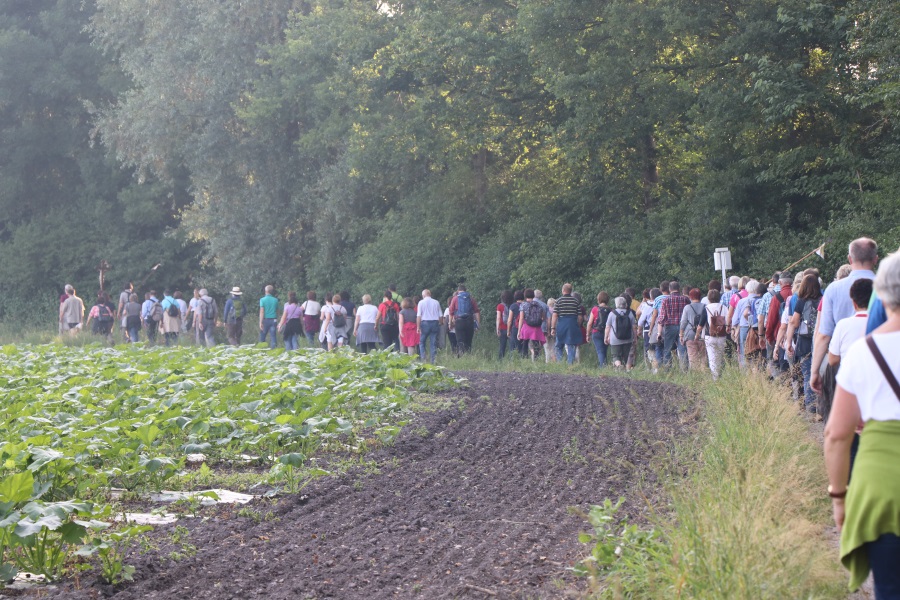 Bild 7