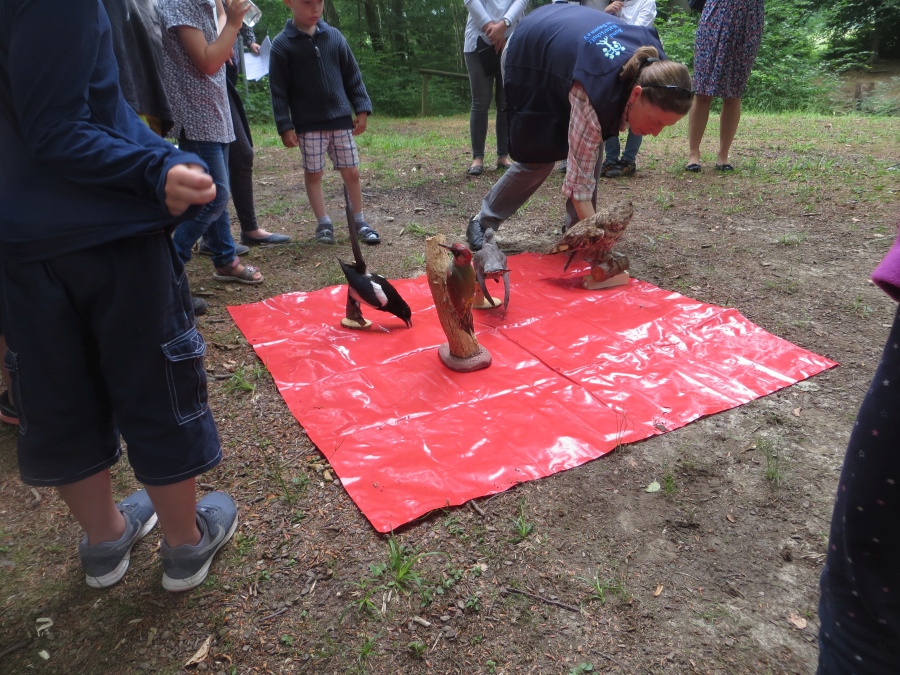 Wald und Wiesengottesdienst 2018