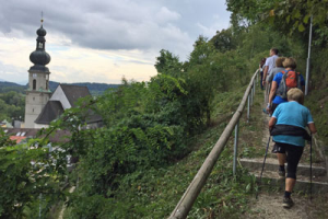 Bild_Walking
