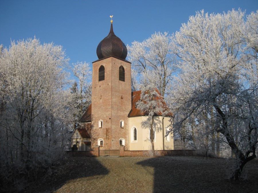 Frauenvils