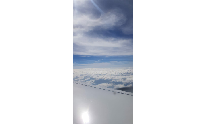 Flug