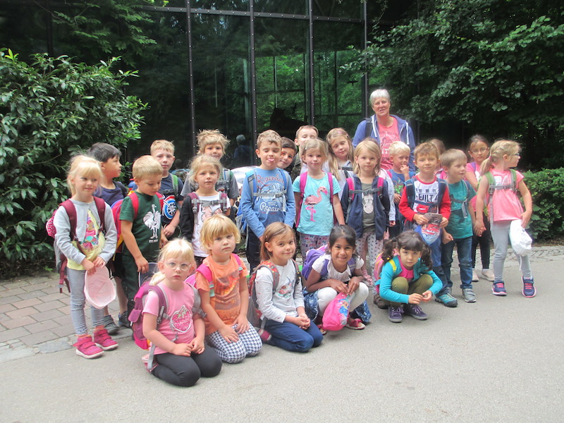 Augsburger Zoo 2018 Löwen