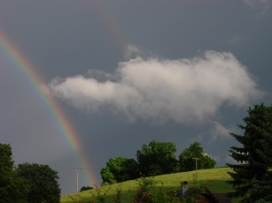 Regenbogen