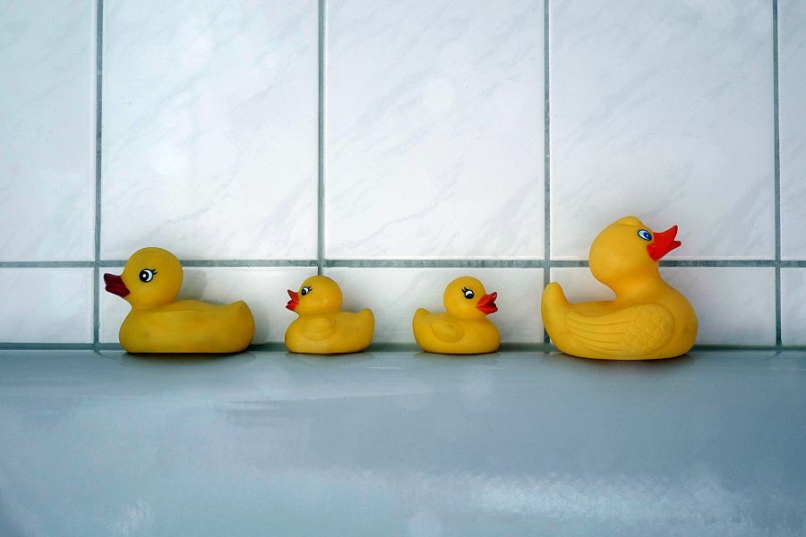 Vier gelbe Gummienten auf Badewannenrand, drei schwimmen in eine Richtung, eine in die andere.