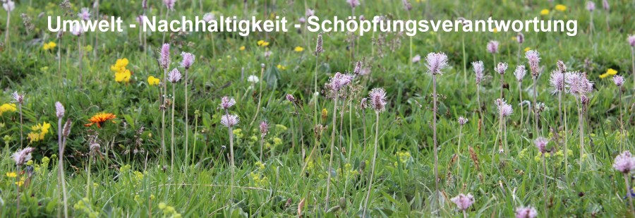 Foto_Einstieg_Wiese_VSchrift
