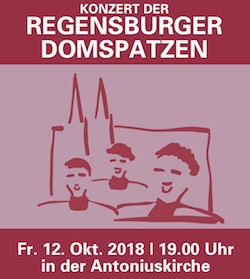 BANNER-Regensburger-Domspatzen-250