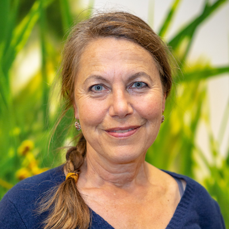 Porträt Maria Anna Möst