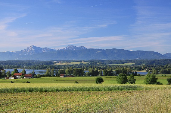 Panorama Waginger See