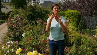 Platzhalter-Bild fuer YouTube-Video
