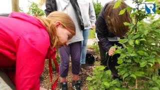 Platzhalter-Bild fuer YouTube-Video